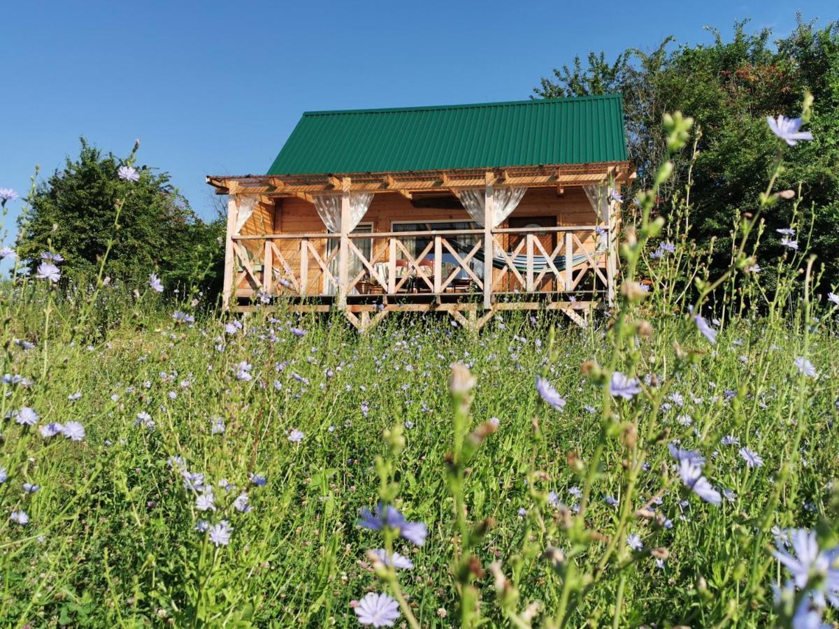 Przystan Ramotowo Villa Lidzbark Warminski Bagian luar foto