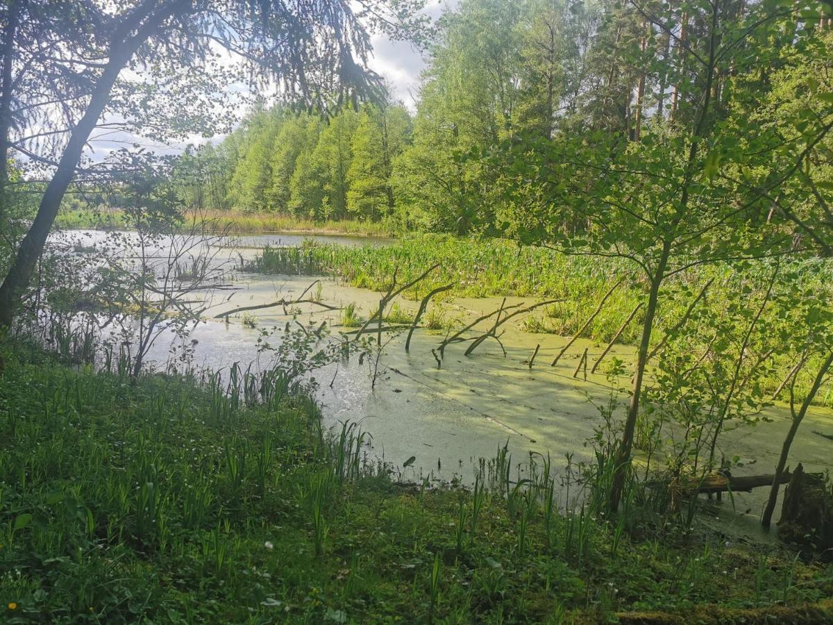 Przystan Ramotowo Villa Lidzbark Warminski Bagian luar foto