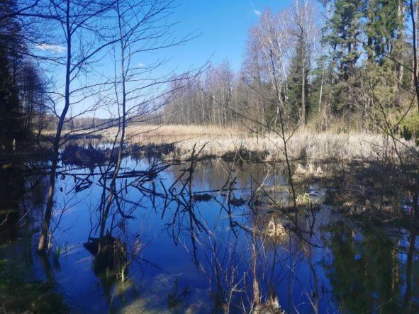Przystan Ramotowo Villa Lidzbark Warminski Bagian luar foto